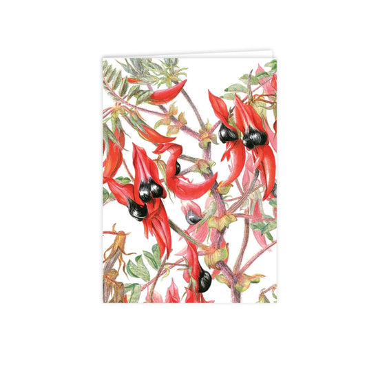 Studio N Card - Sturt’s Desert Pea