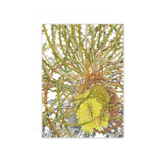 Studio N Card Swordfish Banksia