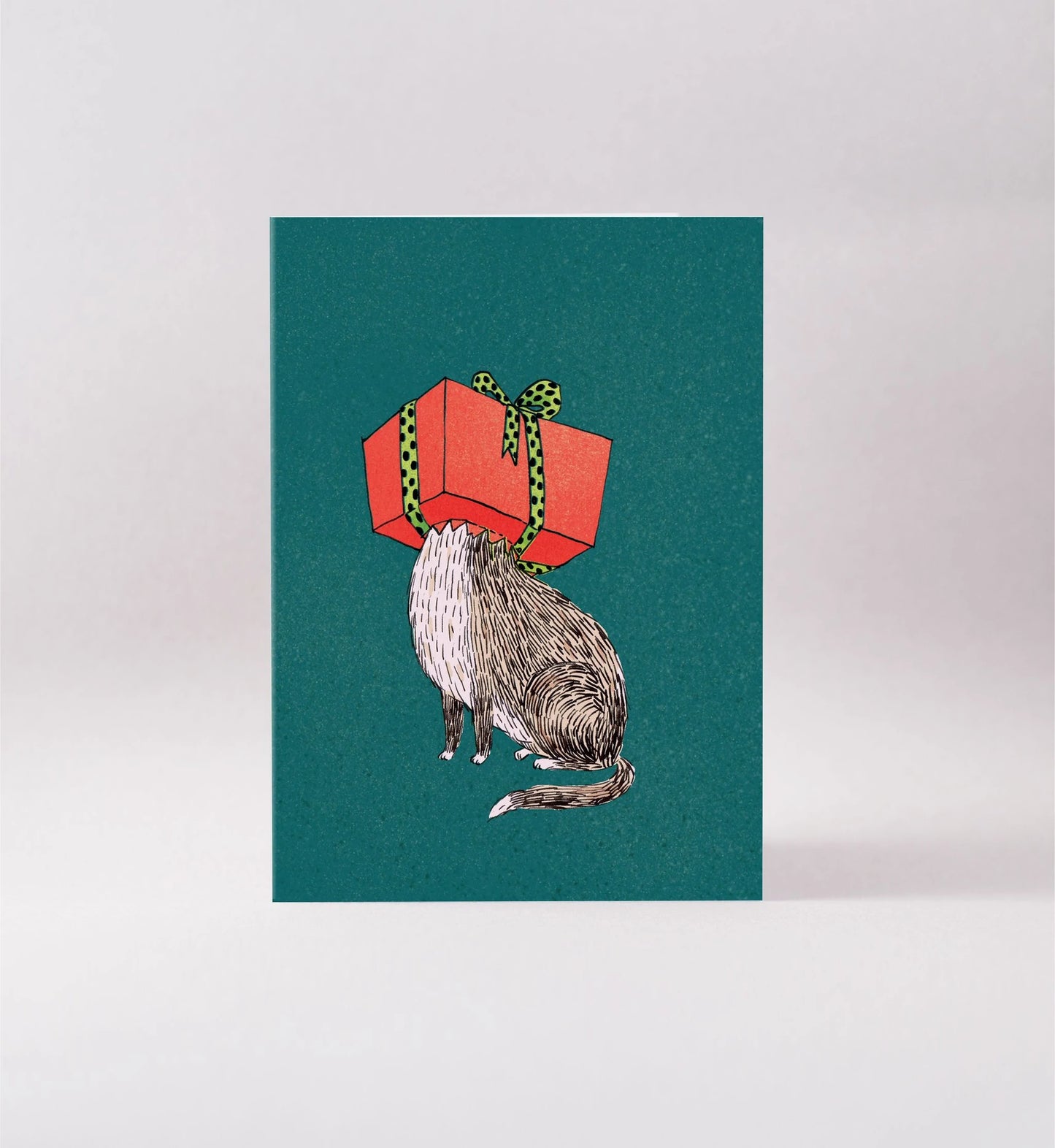 Surfing Sloth Christmas Card Cat In A Gift Box