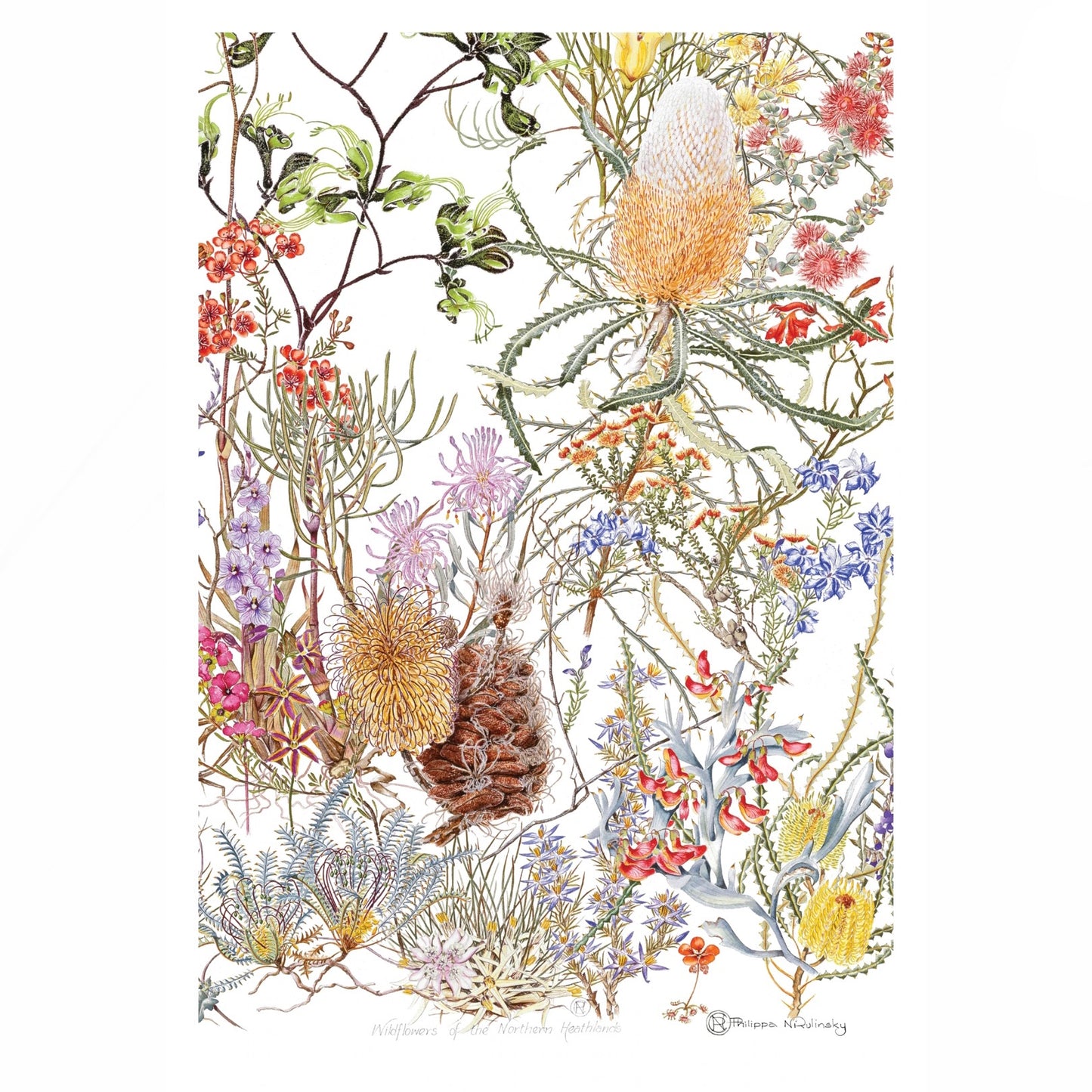 Studio N Linen Tea Towel Northern Heathland Wildflowers