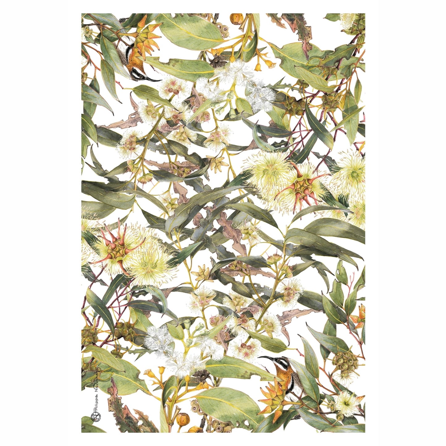 Studio N Linen Tea Towel Eucalyptus & Spinebill