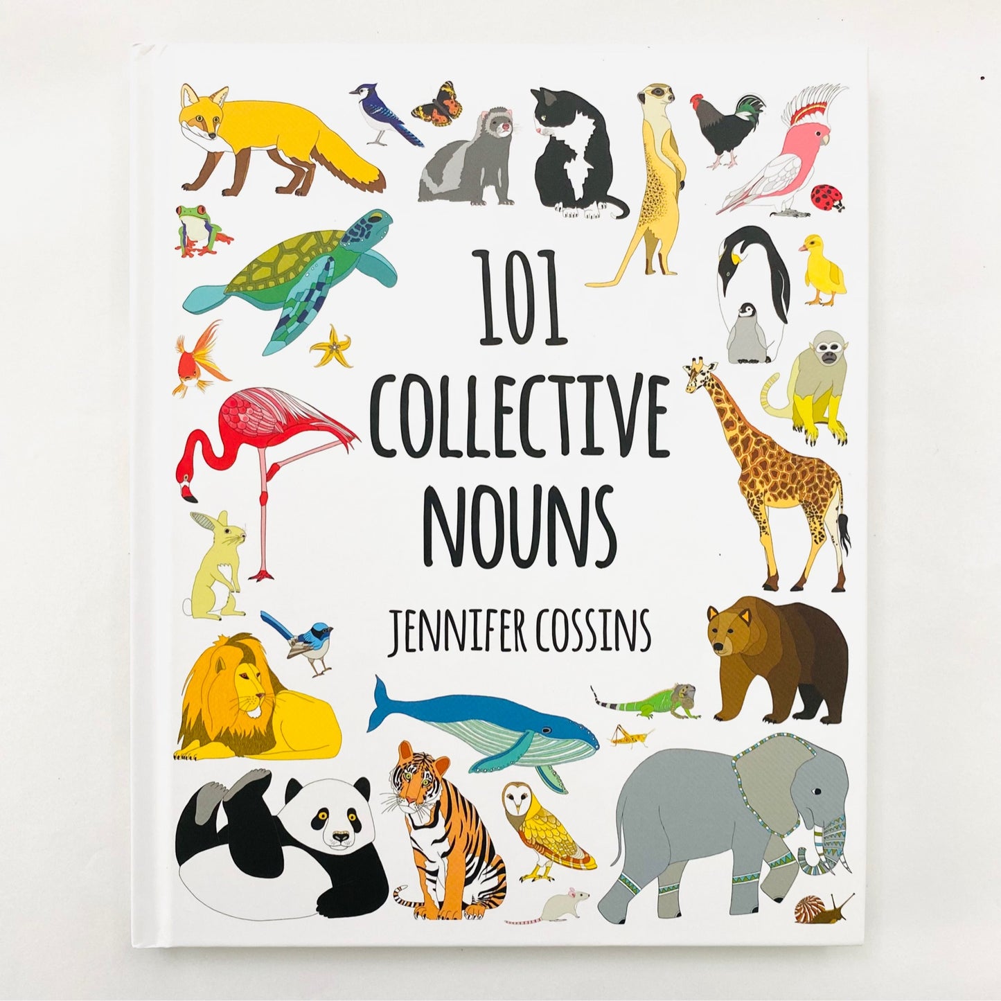 Red Parka 101 Collective Nouns Book