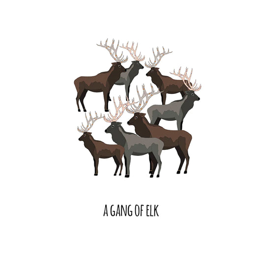 Red Parka Print A Gang Of Elk