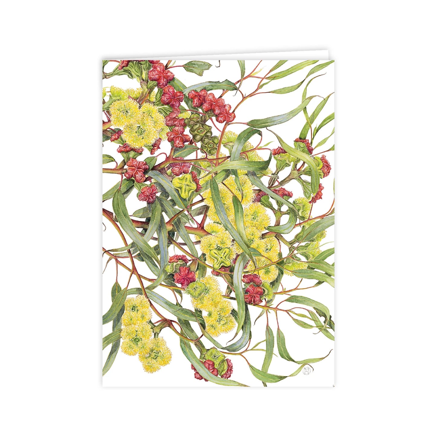 Studio N Card - Eucalyptus Red-capped Gum