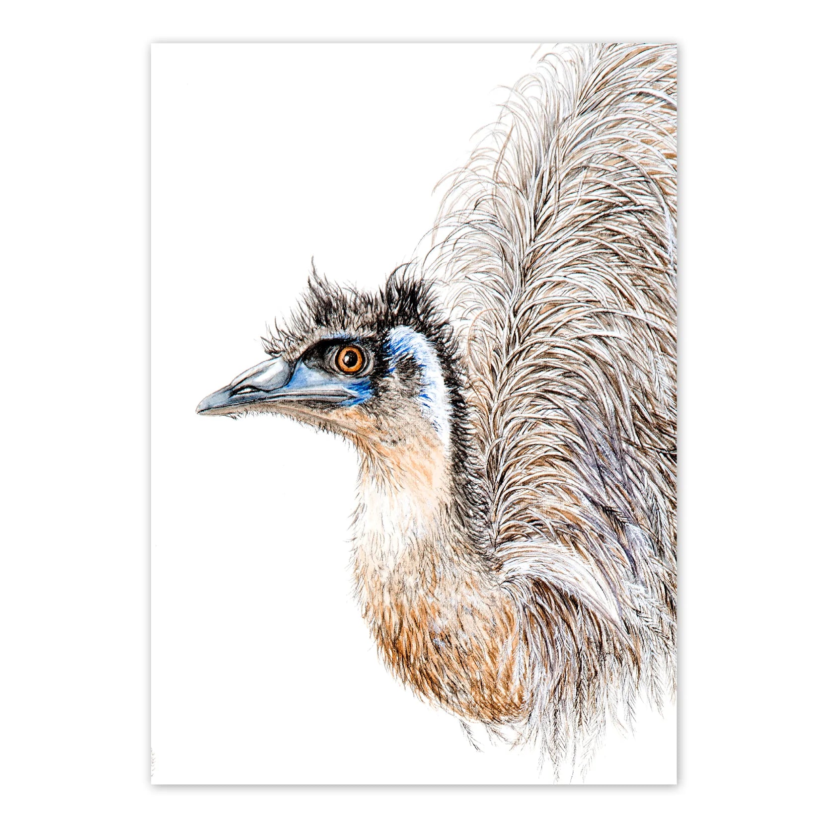 Studio N Card Emu – Willunga Gallery