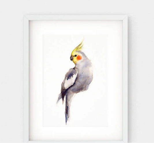 Choose Arts Art by Qing - Fine Art Print, Cockatiel