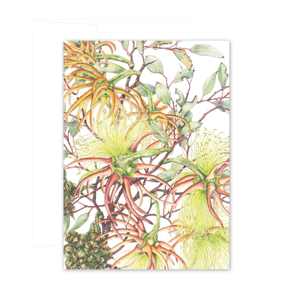 Studio N Card - Eucalyptus Bushy Yate