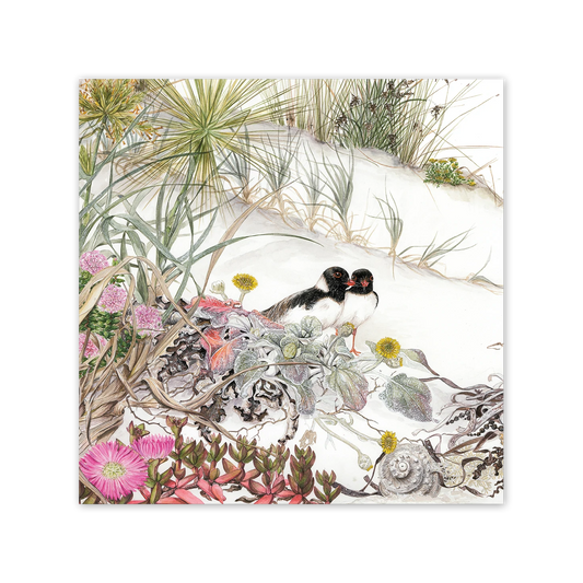 Studio N Card Square Hooded Plover On Beach Daisy