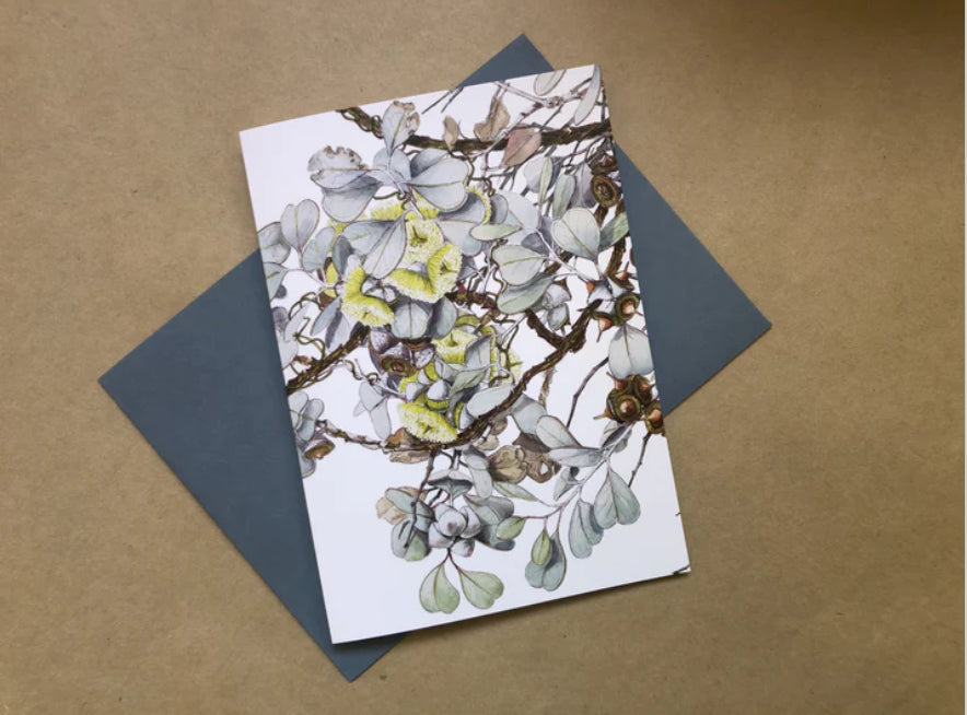 Studio N Card - Round Leaved Mallee