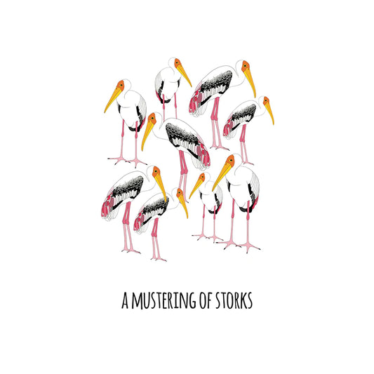 Red Parka Print A Mustering Of Storks