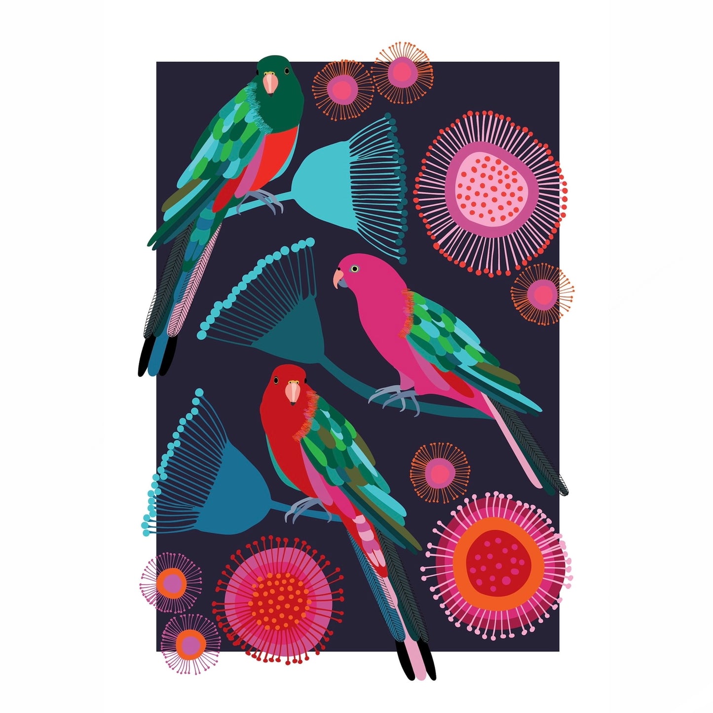 Jocelyn Proust Designs Print - King Parrot