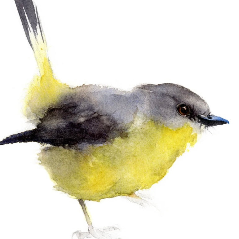 Choose Arts Art by Qing - Fine Art Print Eastern, Yellow Robin