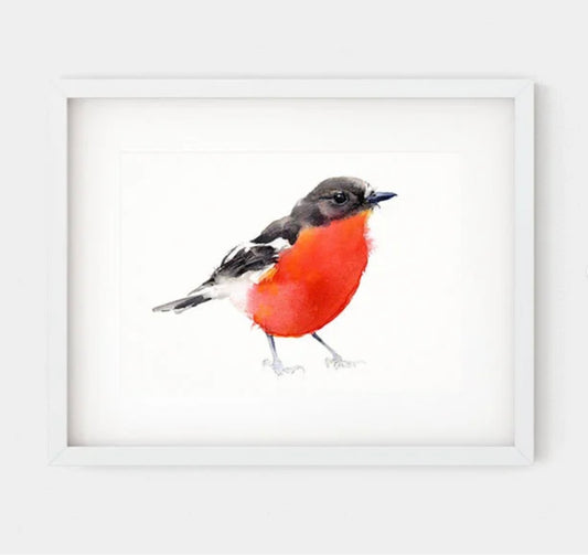 Choose Arts Art by Qing - Fine Art Print, Flame Robin