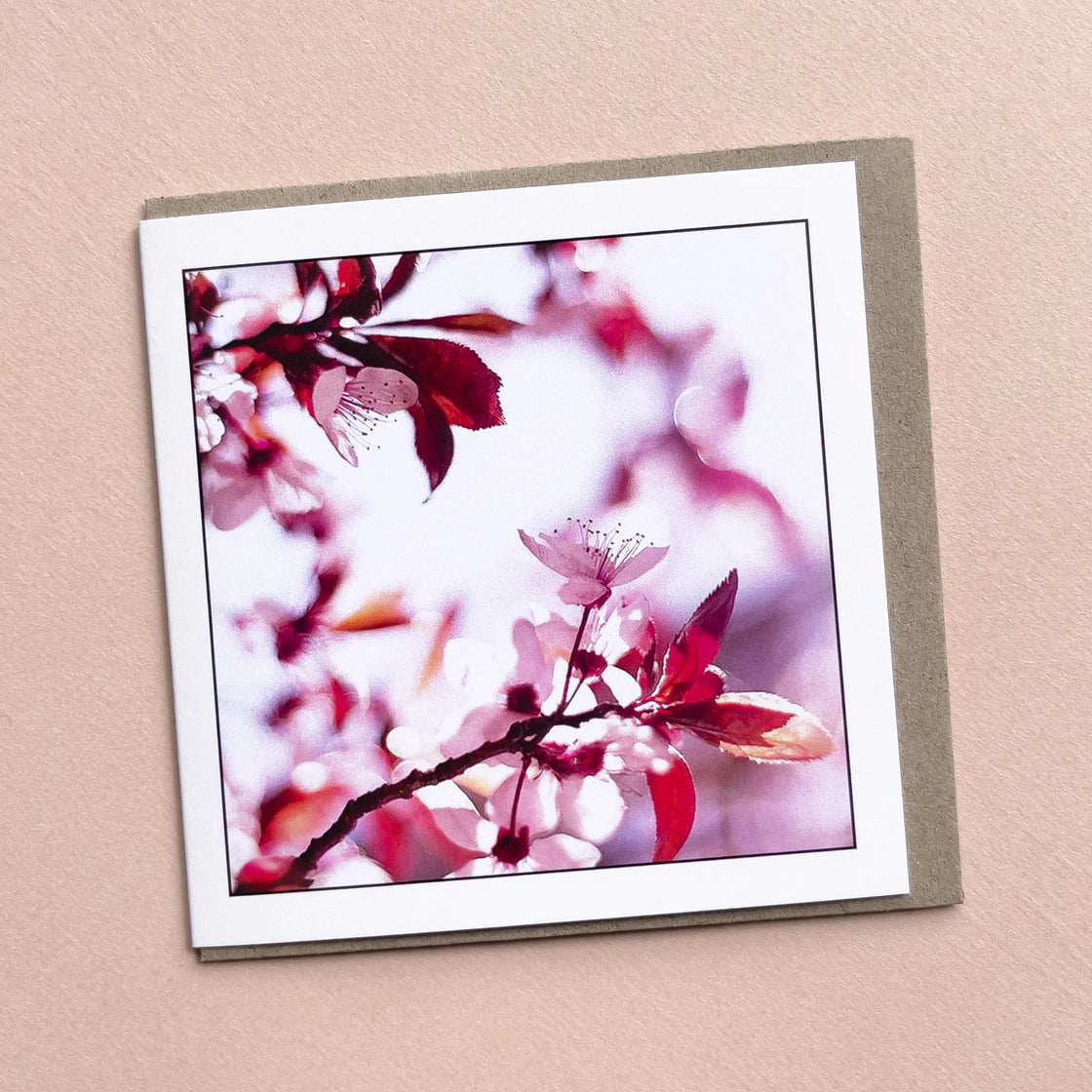 Myrtle & Me Card Spring Blossom Pink