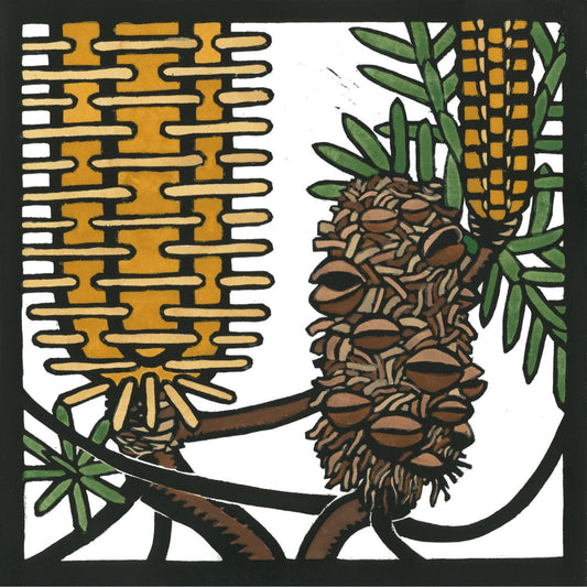 Cam Knuckey Card Banksia With Cone