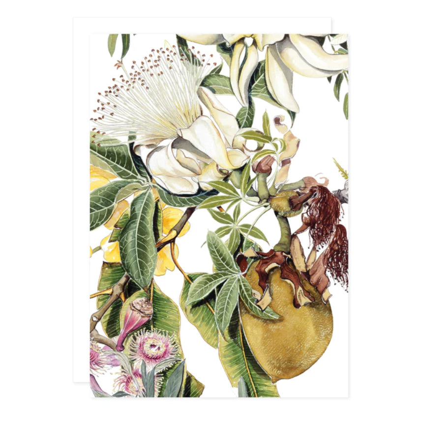 Studio N Card - Boab Flower and Nut