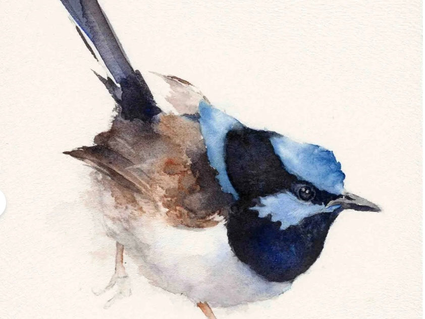 Choose Arts Art by Qing - Card, Superb Fairywren (Male)