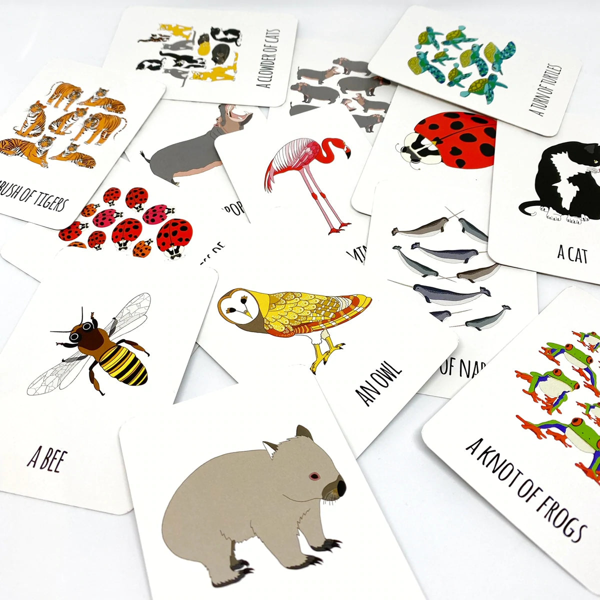 Red Parka - The Collective Nouns Card Game – Willunga Gallery