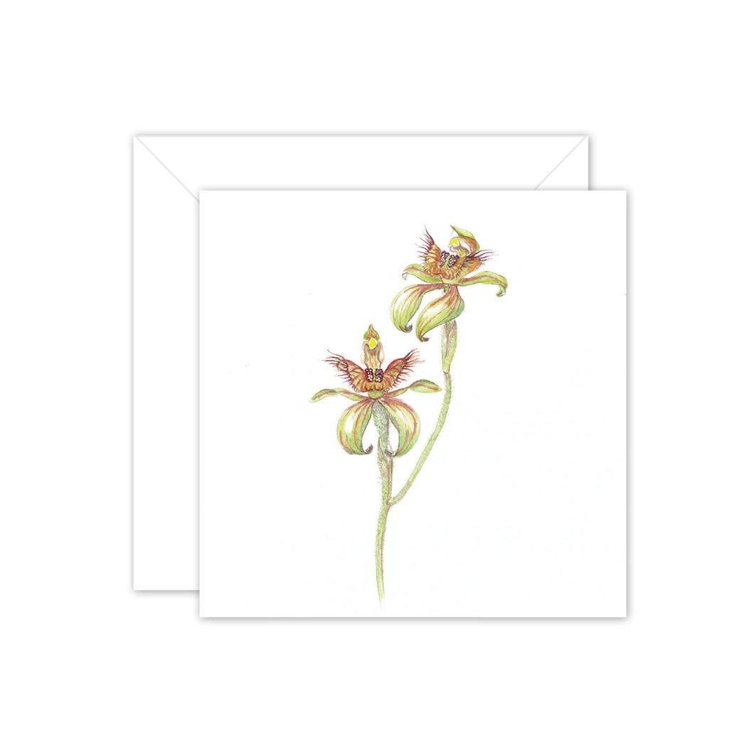 Studio N Square Card - Dancing Orchid