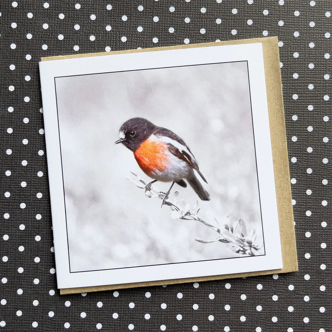 Myrtle & Me Card Scarlet Robin