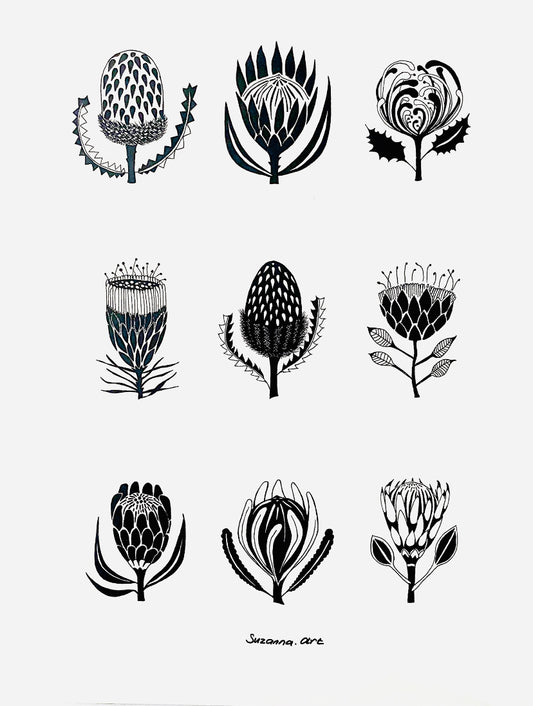 Suzanna’s Art Proteas