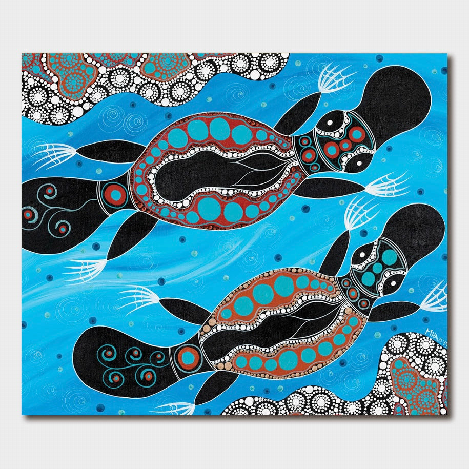 Melanie Hava Card Platypus Race