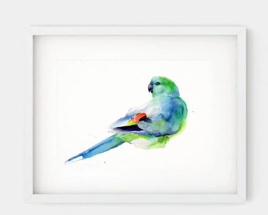 Choose Arts Art by Qing - Fine Art Print, Red Rumped Parrot