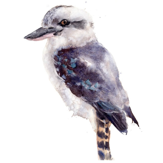 Choose Arts Art By Qing - Fine Art Print, Kookaburra 2