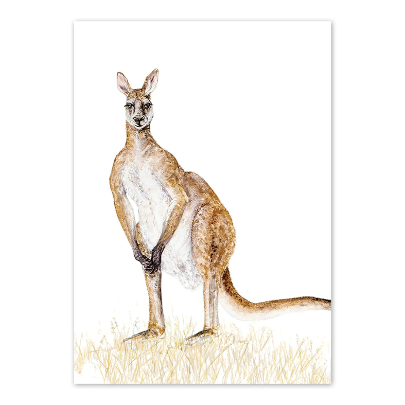 Studio N Card - Red Kangaroo