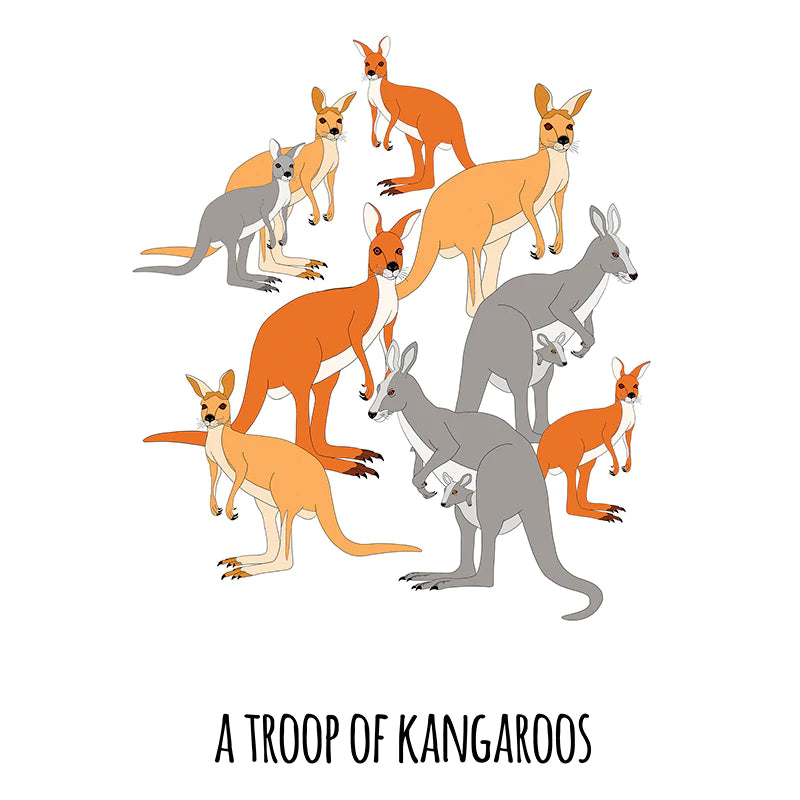 Red Parka Print A Troop Of Kangaroos
