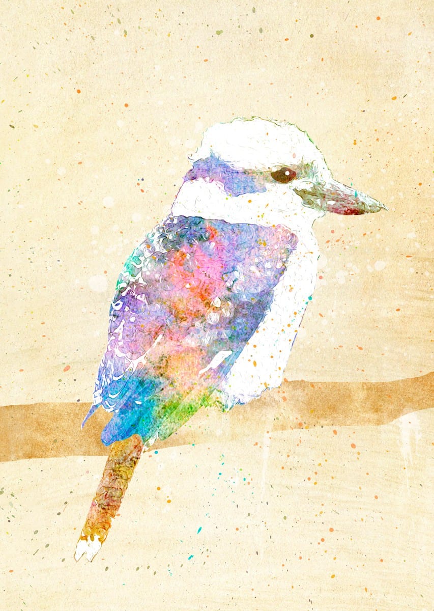 Beau Wylie Print - Kookaburra