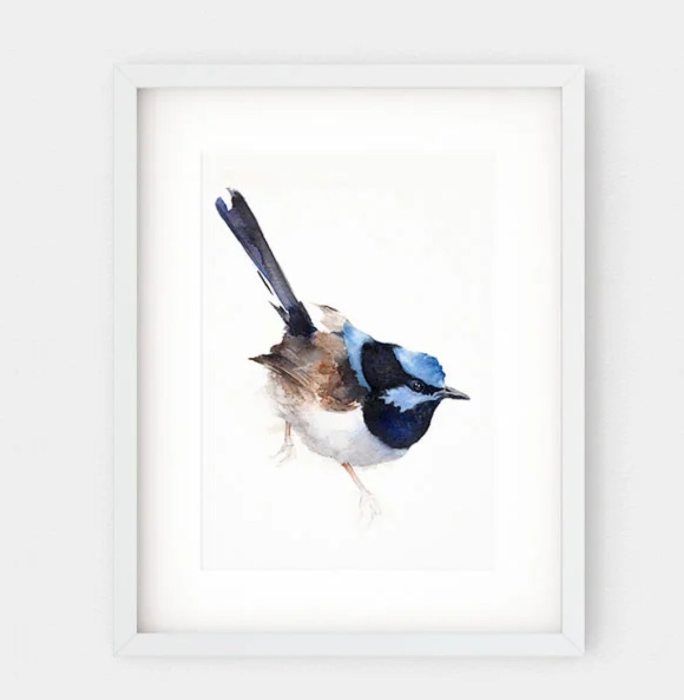 Choose Arts Art by Qing - Fine Art Print, Fairy Wren (Male)