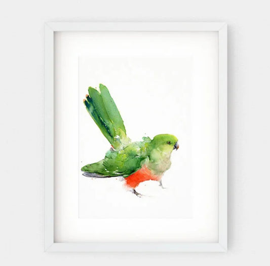 Choose Arts Art by Qing - Fine Art Print, King Parrot Female No.2