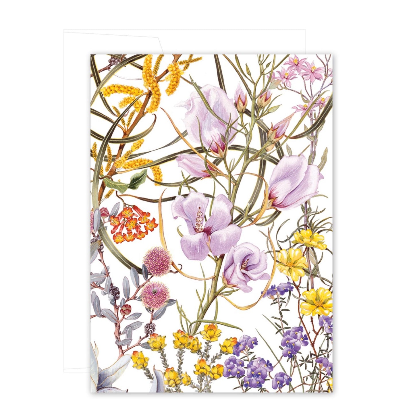 Studio N Card - Wildflowers of the Northern Wheatbelt 2