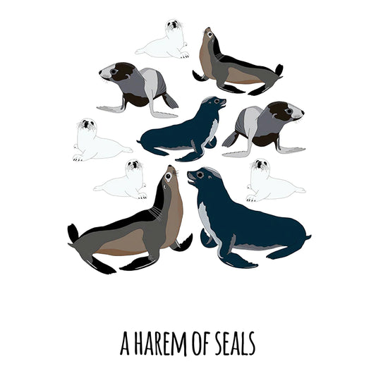Red Parka Print A Harem Of Seals