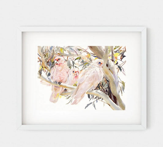 Choose Arts Art by Qing - Fine Art Print, Little Corellas