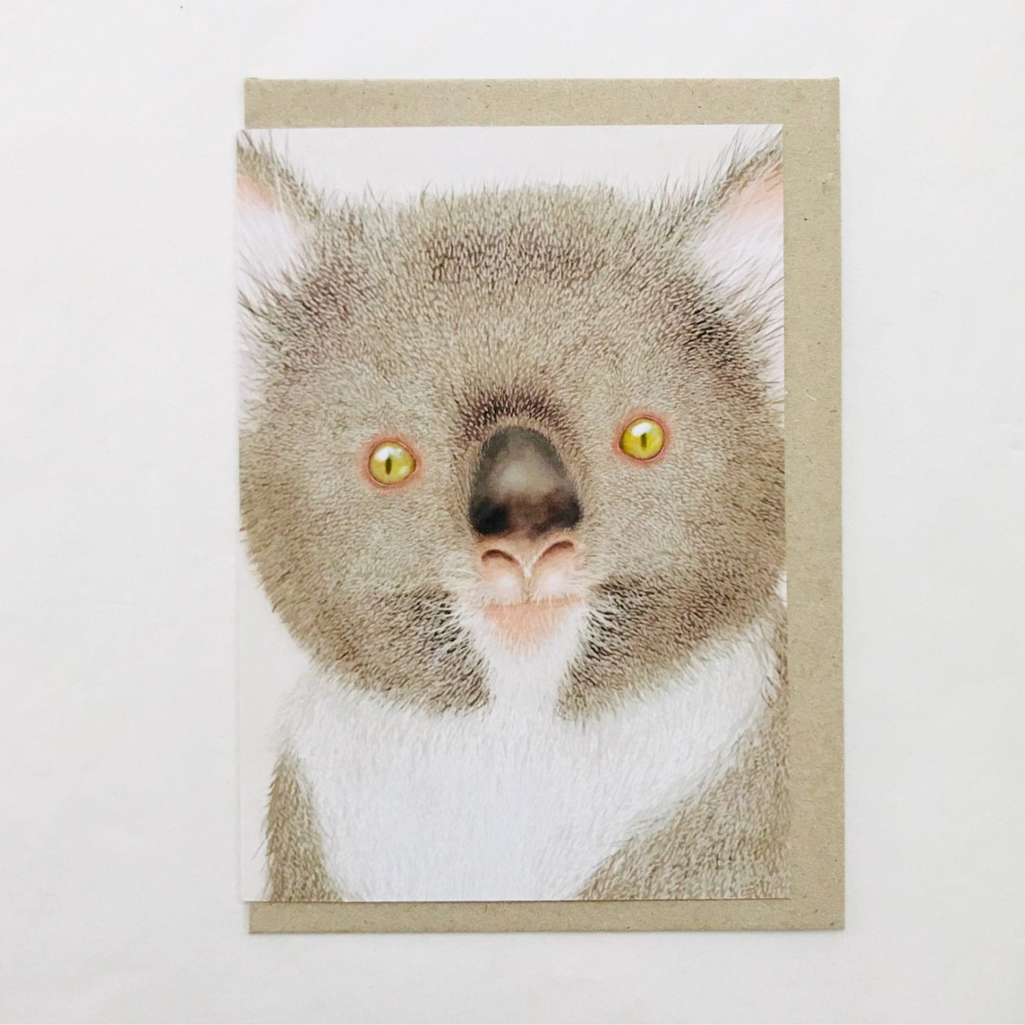 Beau Wylie Card Favel The Koala
