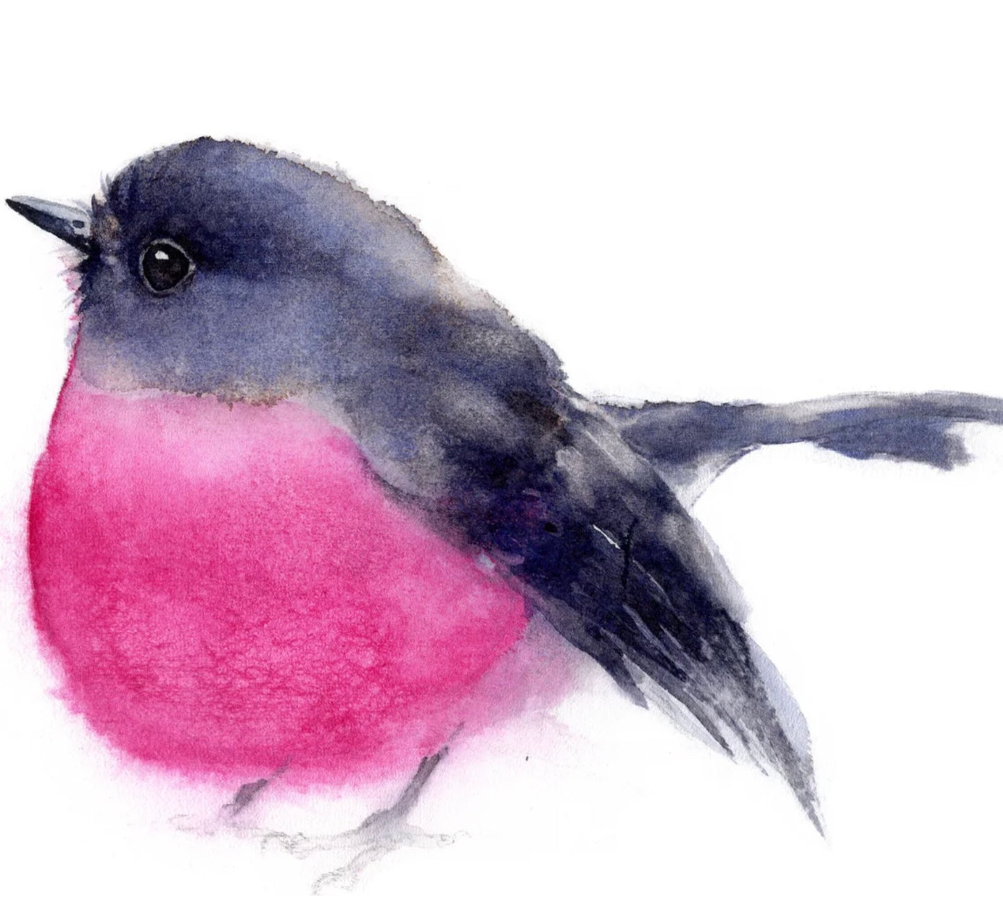 Choose Arts Art by Qing - Fine Art Print, Pink Robin