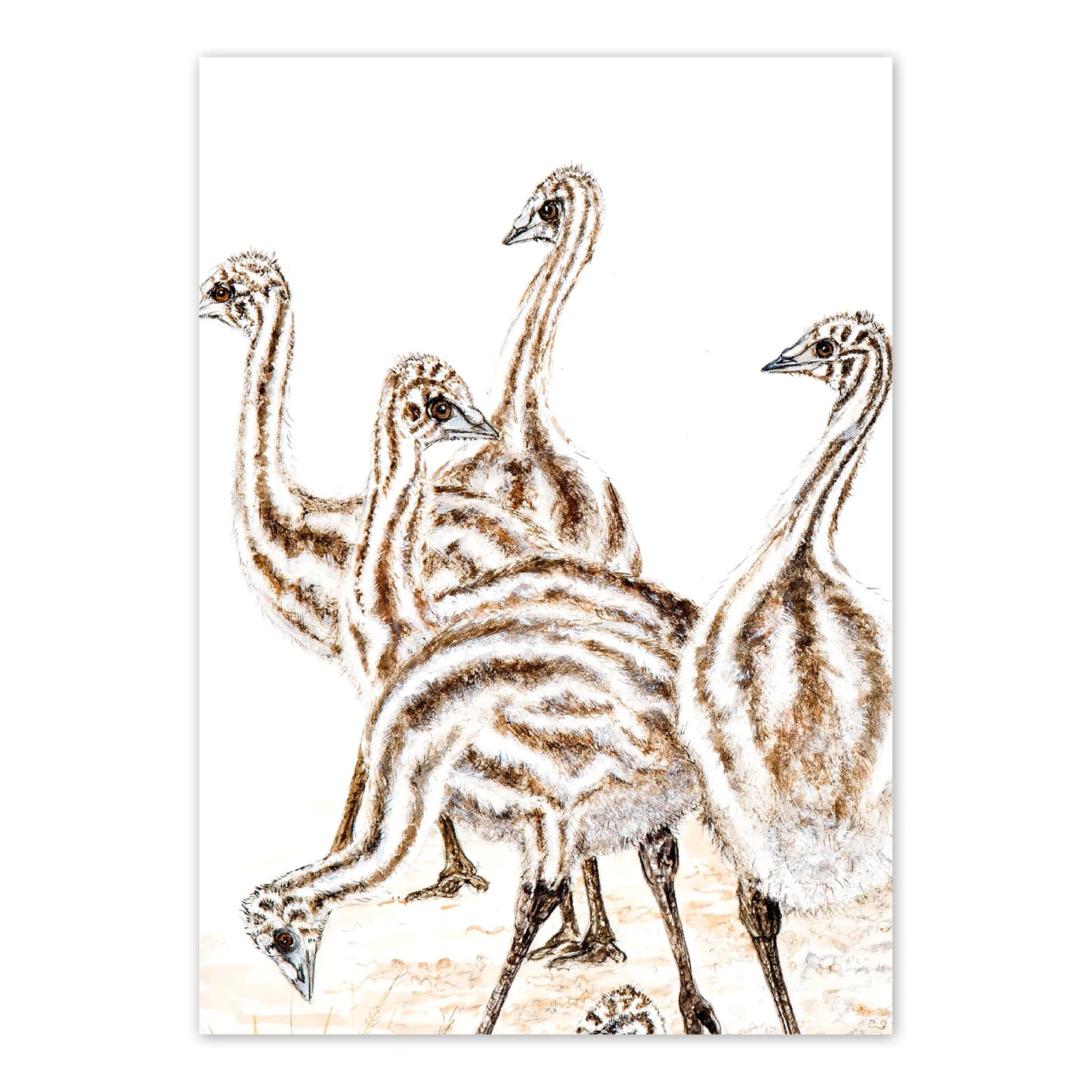 Studio N Card - Emu Chicks