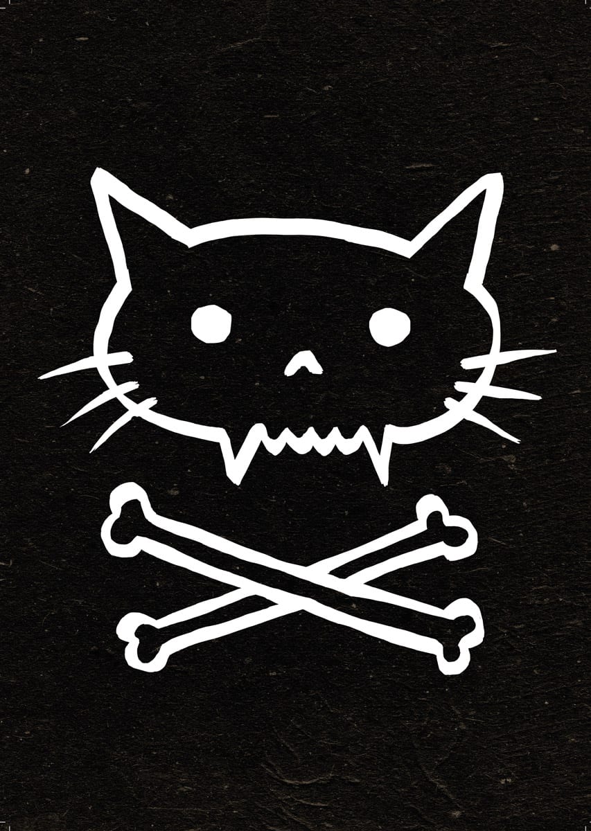 Beau Wylie Print - Pirate Kitty