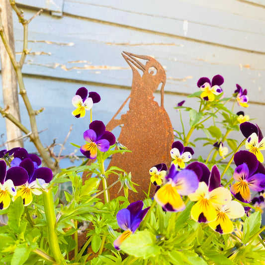 Overwrought Magpie Looking Up Stand