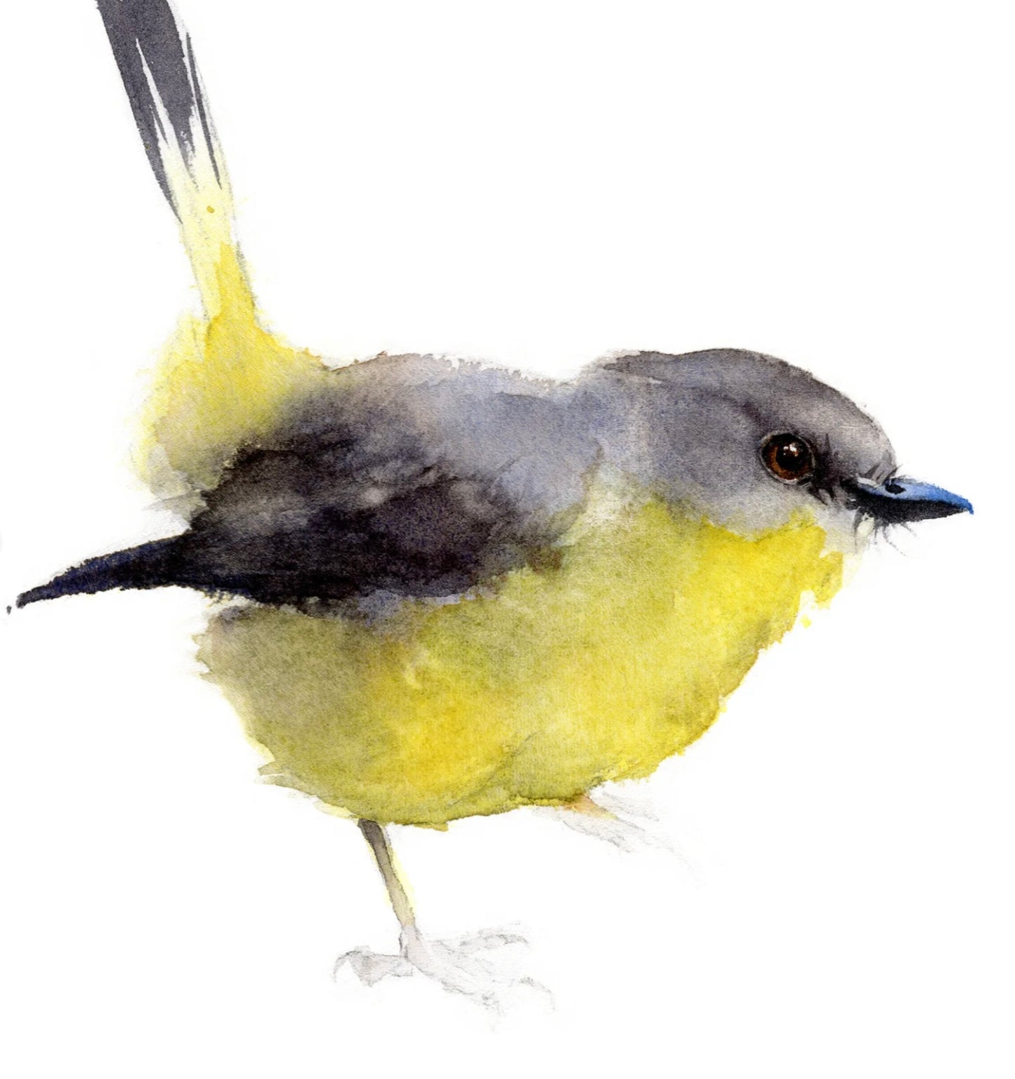 Choose Arts Art by Qing - Fine Art Print Eastern, Yellow Robin