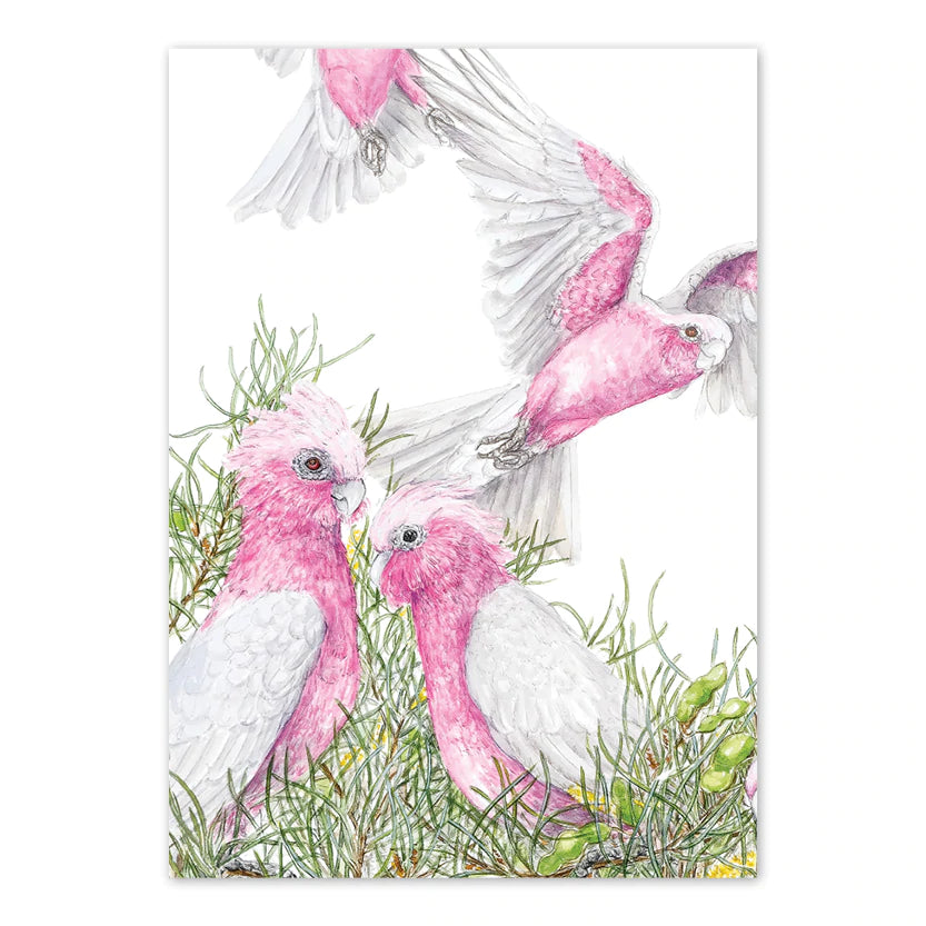 Studio N Card - Galahs