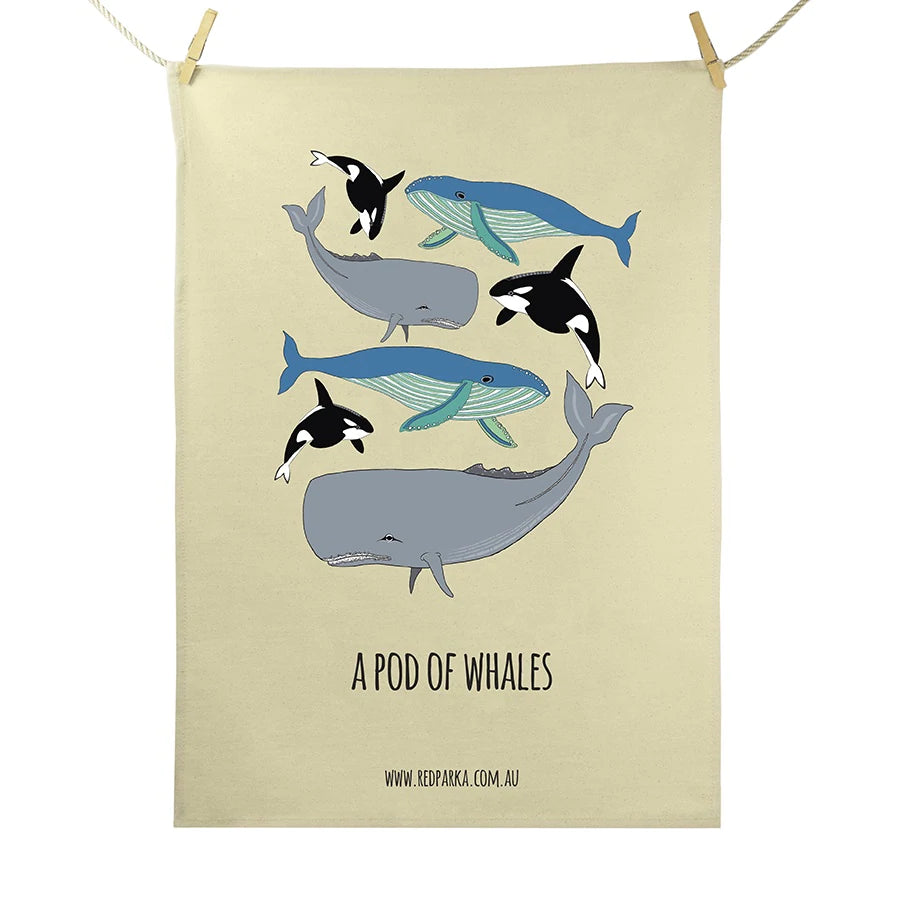Red Parka Tea Towel Pod of Whales