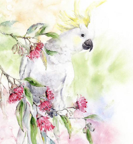 Choose Arts Art by Qing - Fine Art Print, Sulphur-Crested Cockatoo