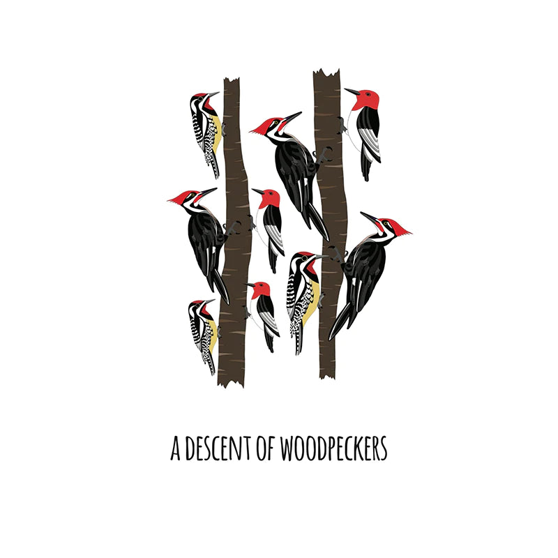 Red Parka Print A Descent Of Woodpeckers