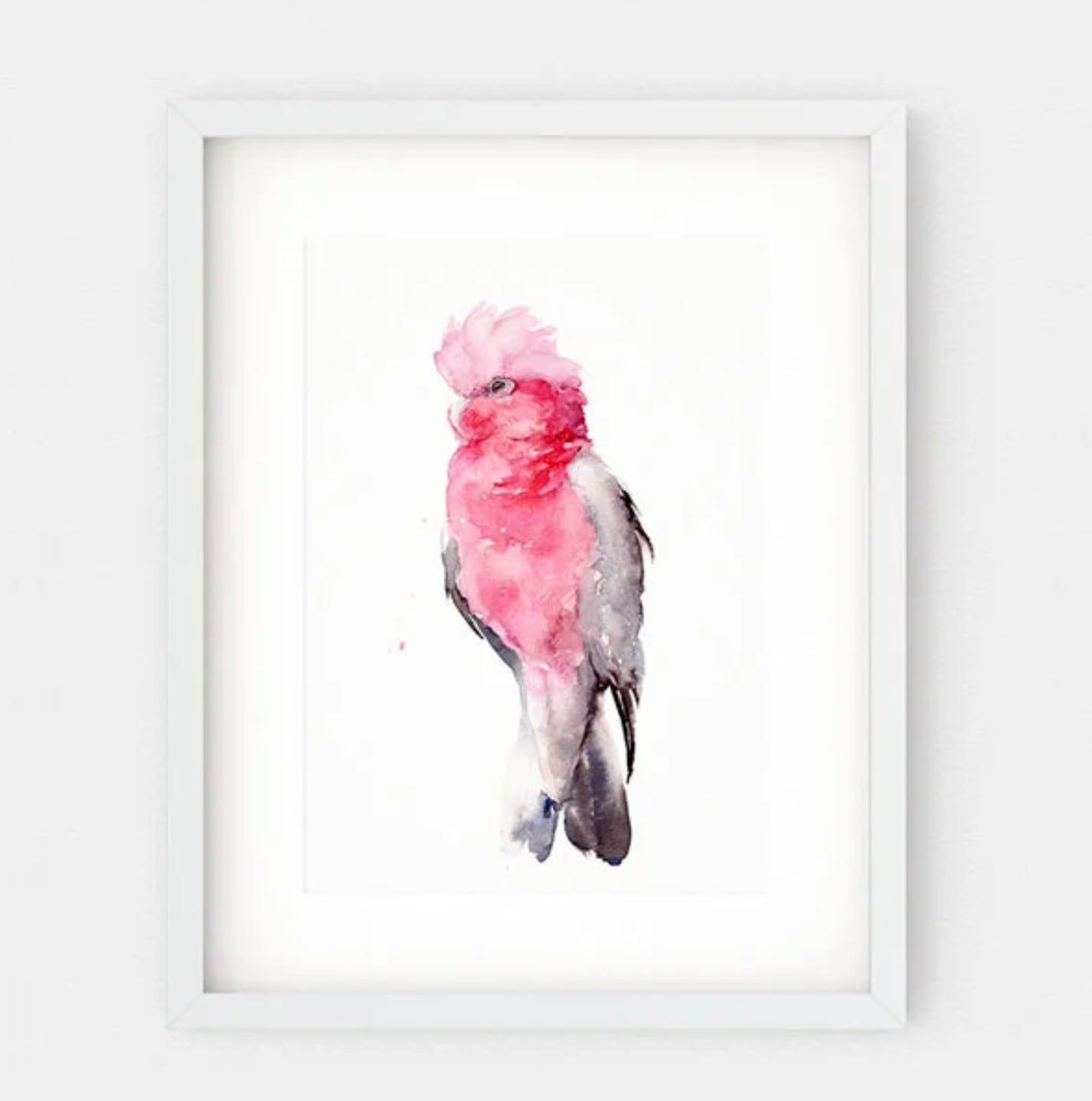 Choose Arts Art by Qing - Fine Art Print, Galah